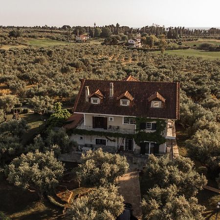 Villa Georgina B&B Katákolo Kültér fotó