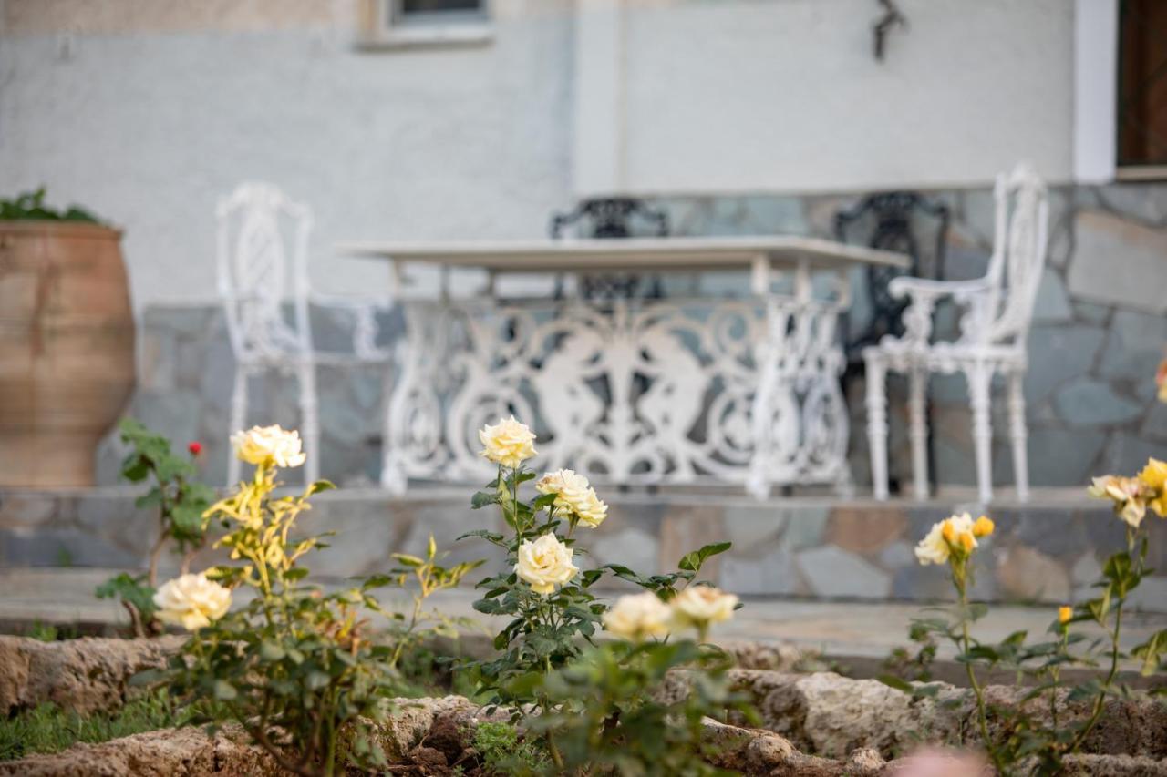 Villa Georgina B&B Katákolo Kültér fotó