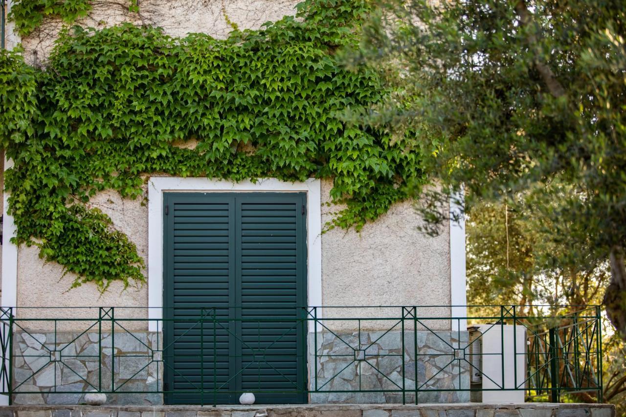 Villa Georgina B&B Katákolo Kültér fotó