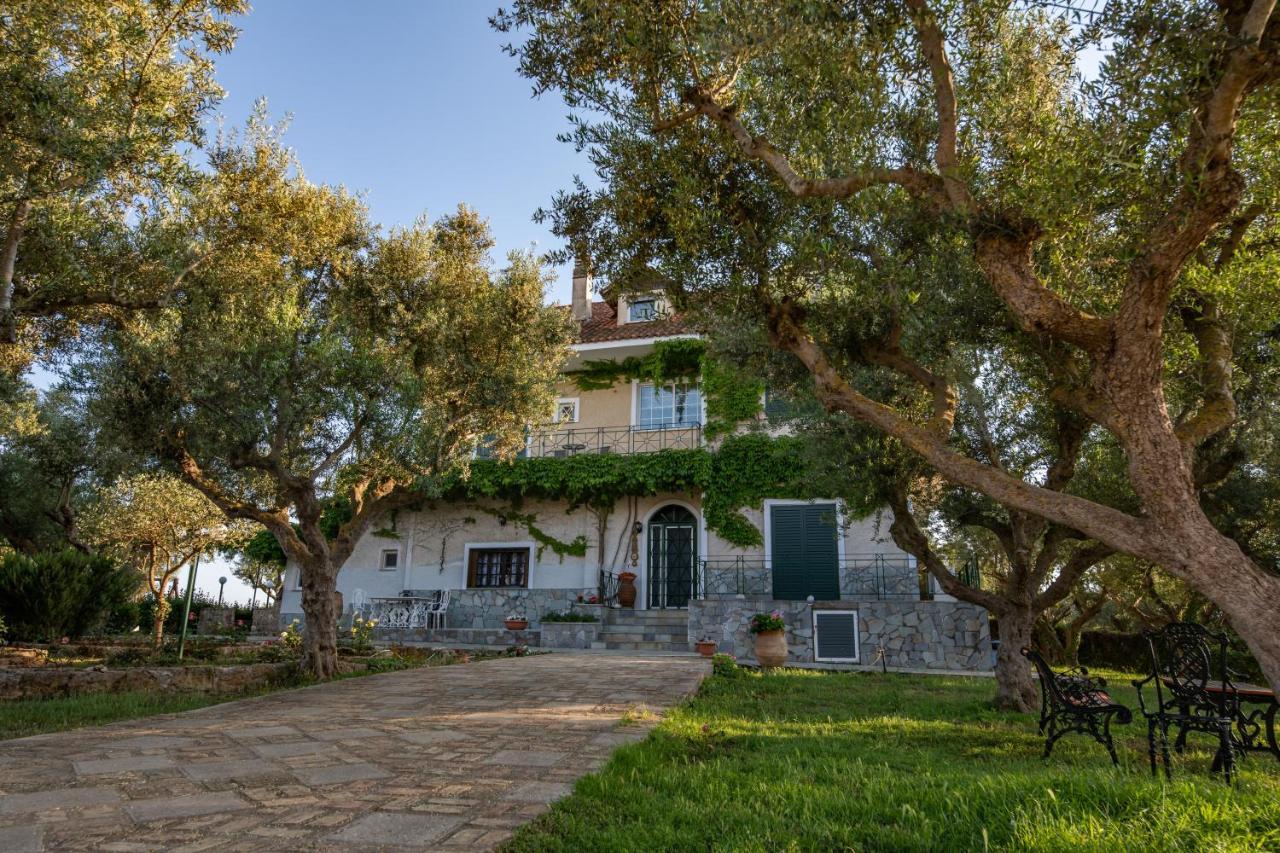 Villa Georgina B&B Katákolo Kültér fotó