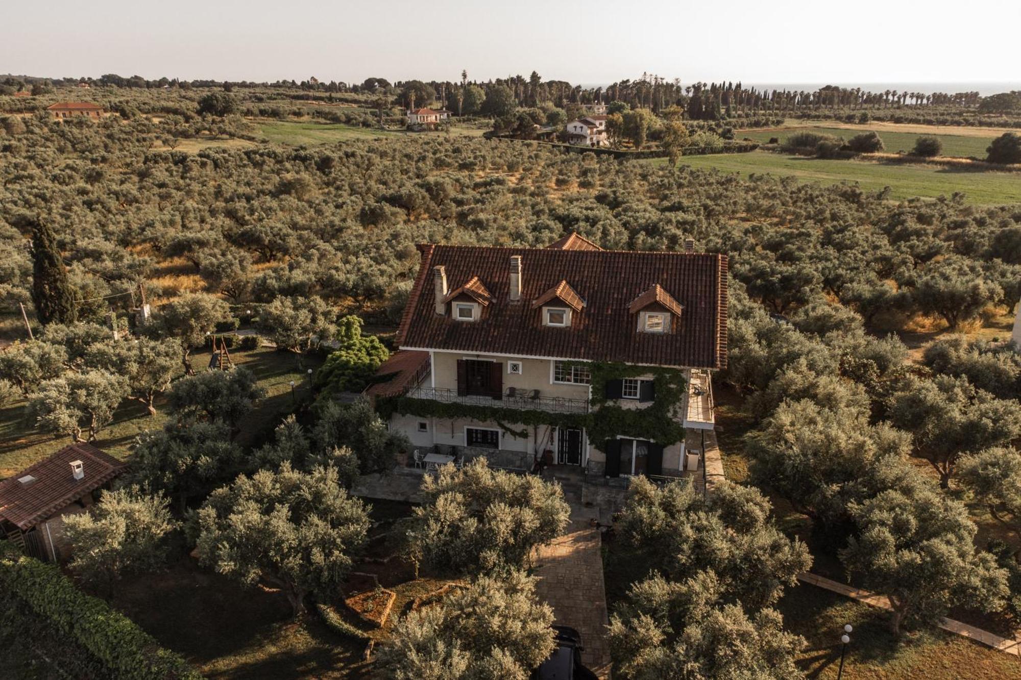 Villa Georgina B&B Katákolo Kültér fotó